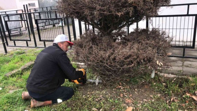 Düzce Rengarenk Bir Görünüme Kavuştu