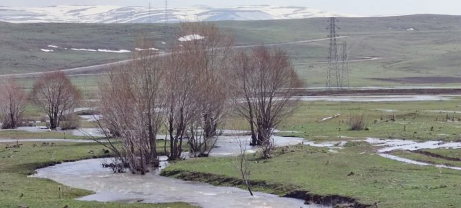 Kuru Dere Suya Kavuştu