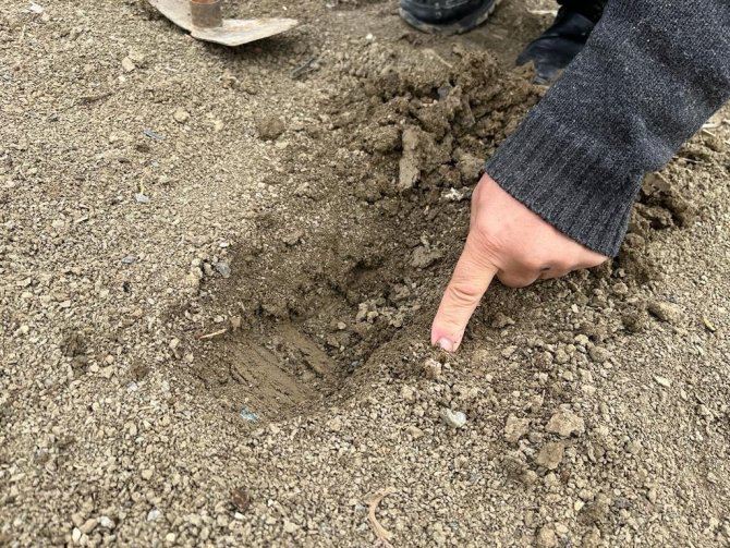 Rüzgarla Birlikte Kuruyan Toprak Çiftçiyi Şaşkına Çevirdi