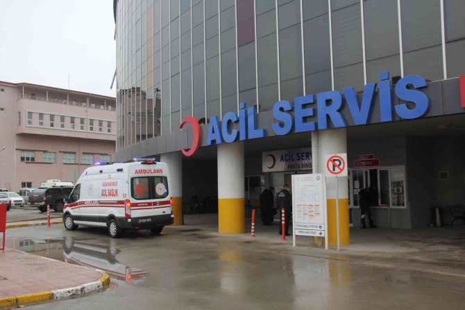 Sıcaklıkların Artmasıyla Birlikte Kene Vakaları Görülmeye Başlandı