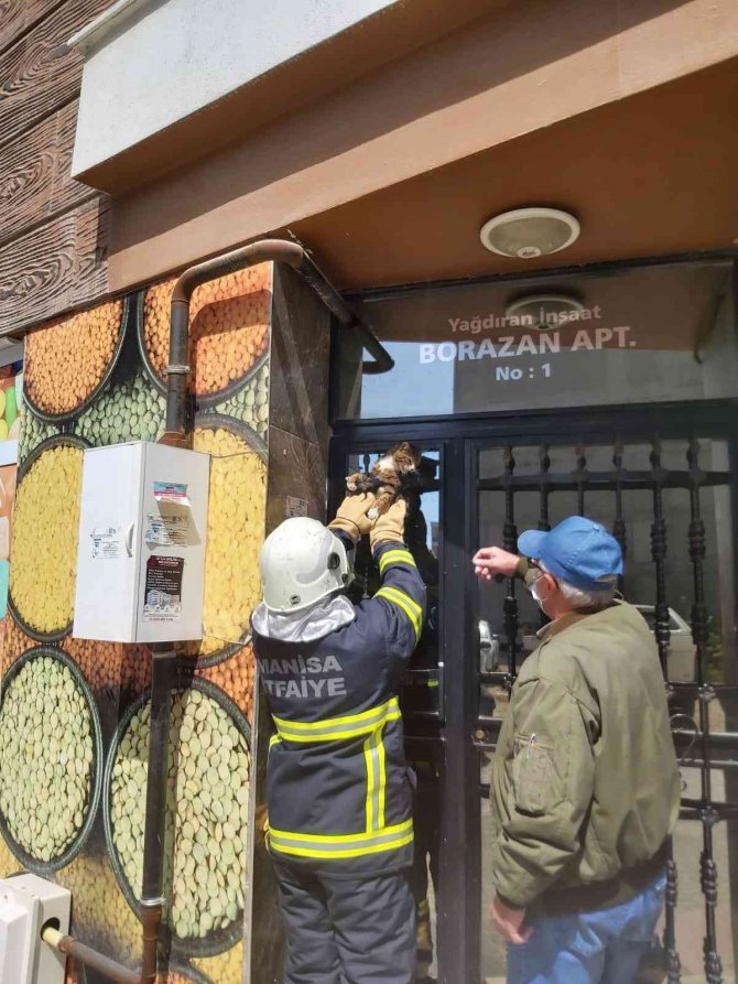 Manisa’da Demir Parmaklıklara Sıkışan Kedi İtfaiye Tarafından Kurtarıldı