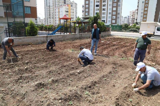 Mezitli’de İhtiyaç Sahipleri İçin Sebze Bahçesi