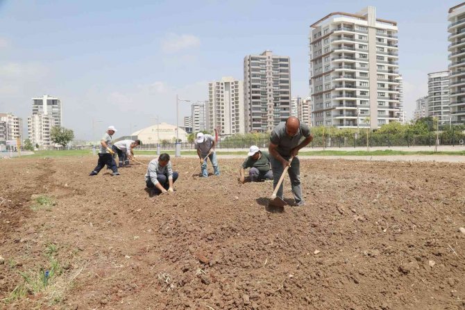 Mezitli’de İhtiyaç Sahipleri İçin Sebze Bahçesi