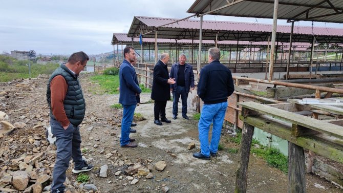 Ünye’de Hayvan Pazarı Yenileniyor