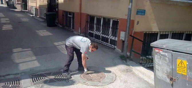 Osmangazi’den Haşerelere Karşı Başarılı Mücadele