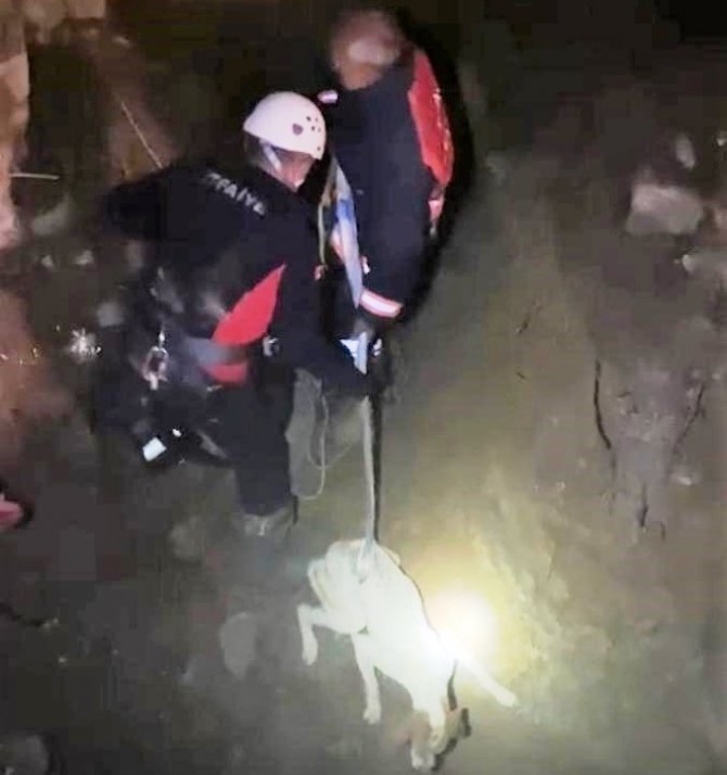Simav’da Çukura Düşen Köpeği İtfaiye Kurtardı