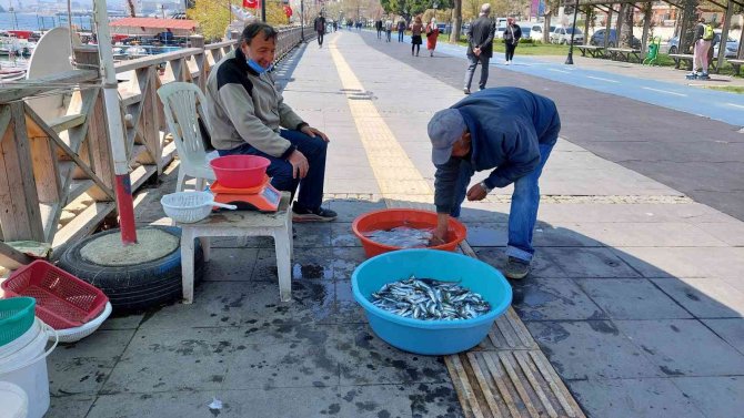 Avlanma Yasağıyla Oltalar Çantadan Çıktı