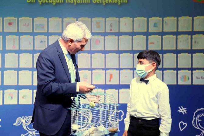 Dileklerini Yazdılar, Hediyelerini Aldılar