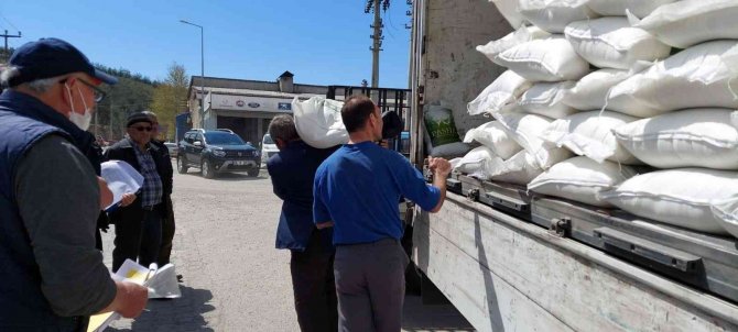 Sinop’ta İlkbahar Beslenmesi İçin Arıcılara 54 Ton Toz Şeker