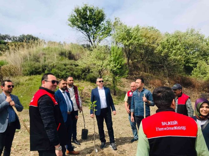 Ayvalık’ta İncir Demonstrasyon Bahçesi