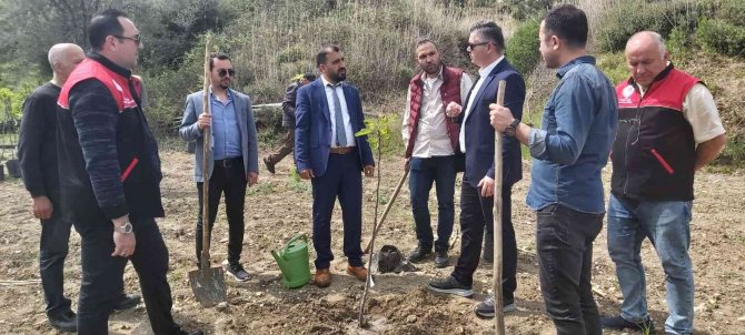 Ayvalık’ta İncir Demonstrasyon Bahçesi