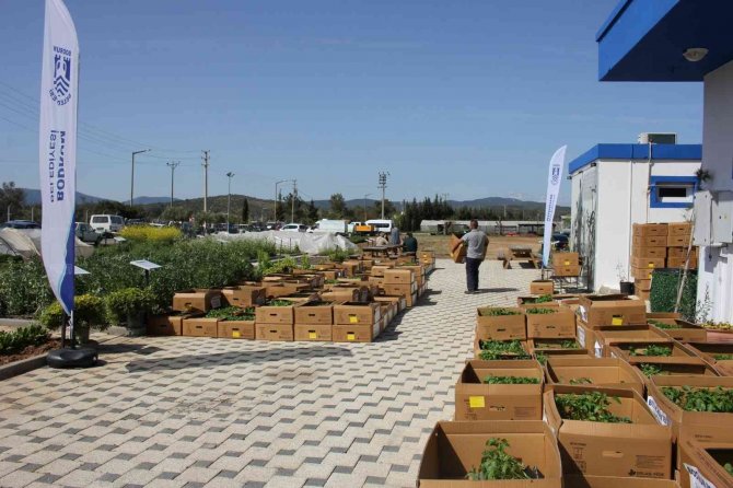Bodrum’da 142 Bin Hibe Fide Üreticiyle Buluştu