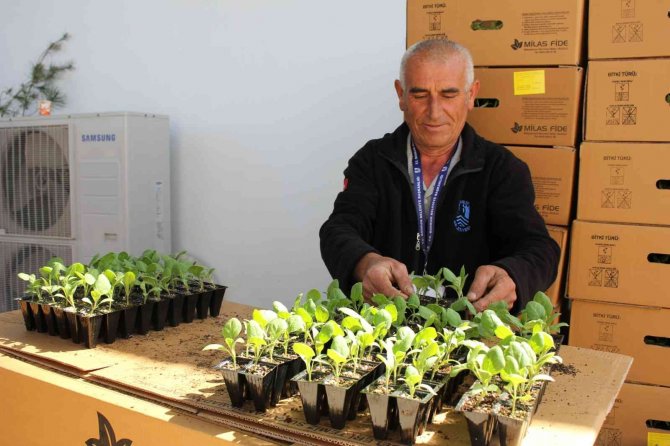 Bodrum’da 142 Bin Hibe Fide Üreticiyle Buluştu