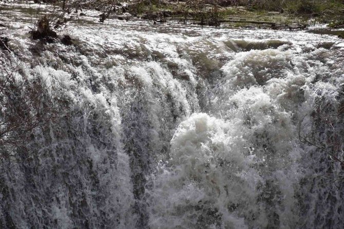 Doğangir Şelalesi Piknik Ve Mesire Alanı Olacak