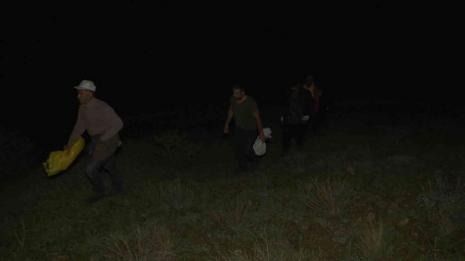 Bu Bitkiyi Toplamak İçin Gökyüzü Aydınlanmadan Yola Çıkıyorlar