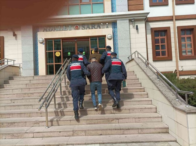 Giresun’da Hırsızlık Vakaları