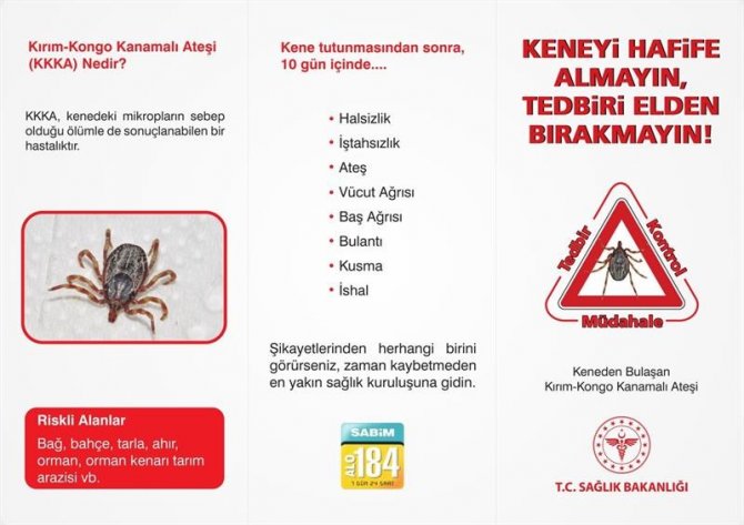 Havaların Isınmasıyla Keneler Arttı