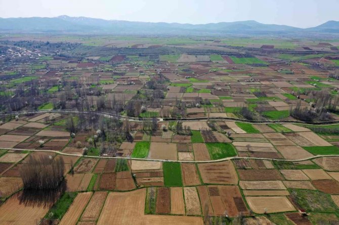 Isparta’da Silajlık Mısır Tohumu Dağıtıldı