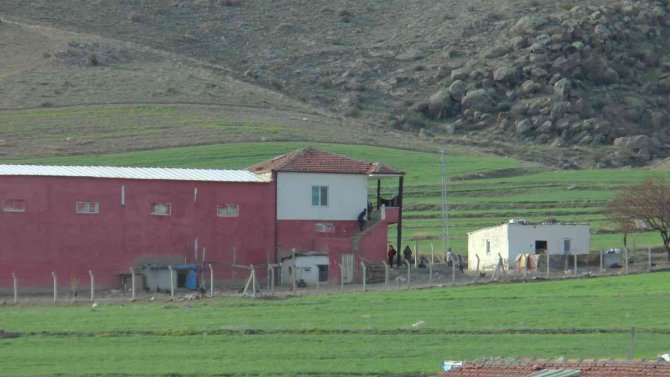 Hayvan Sulatma Meselesi Kanlı Bitti: 1 Ölü, 2 Yaralı