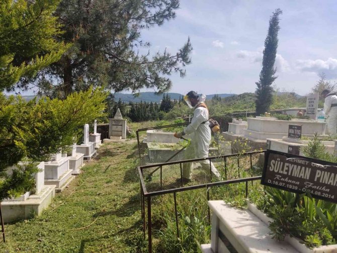Söke Belediyesi, Bayram Öncesi Mezarlık Temizliği Gerçekleştirdi