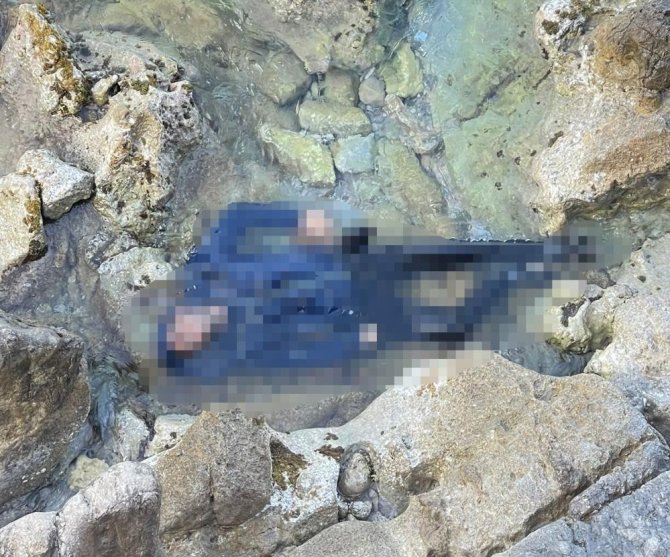 Bıçaklandıktan Sonra Denize Atılmış