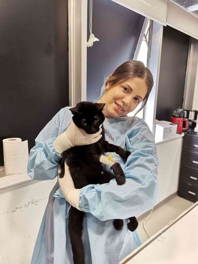 Akıllı Sinyallerle Ölümcül Hastalıkları Tedavi Etti