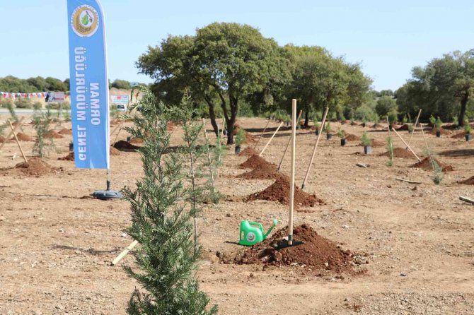 2022 Yılı Orman Yangınları İle Mücadele Planı Hazır