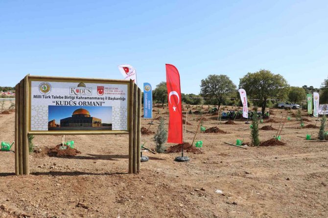 2022 Yılı Orman Yangınları İle Mücadele Planı Hazır