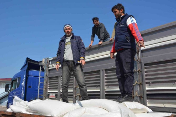 Arıcılara Şeker Desteği