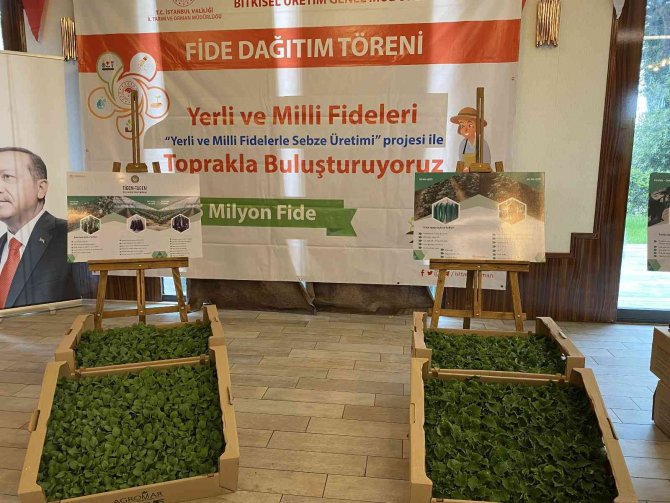Şile Belediyesinden Çiftçileri Sevindiren Hamle: 367 Bin Adet Sebze Fidesi Dağıtılıyor