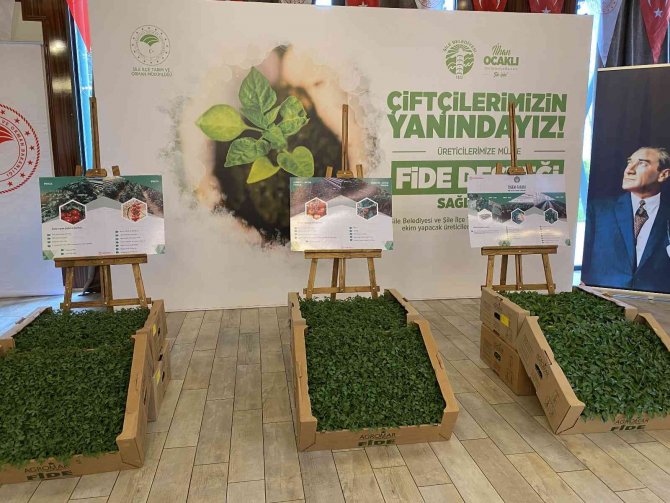 Şile Belediyesinden Çiftçileri Sevindiren Hamle: 367 Bin Adet Sebze Fidesi Dağıtılıyor