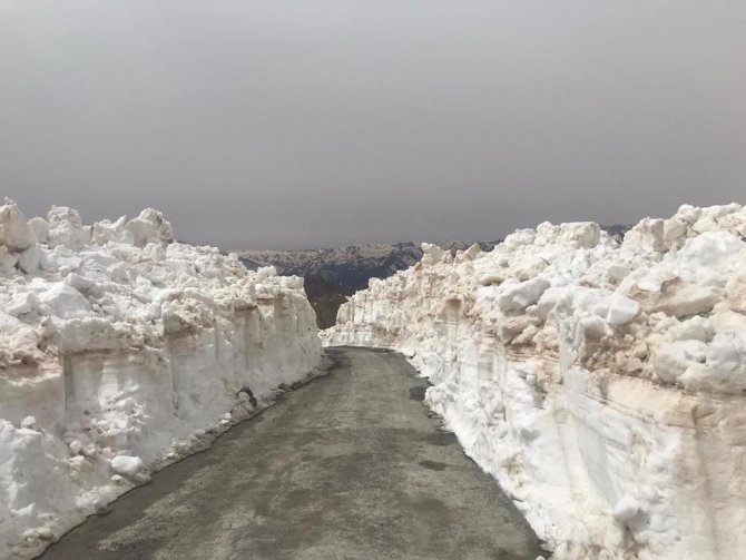 Nisan Sonu Şırnak’ta 10 Metreyi Bulan Karda Yol Açma Çalışmaları Devam Ediyor