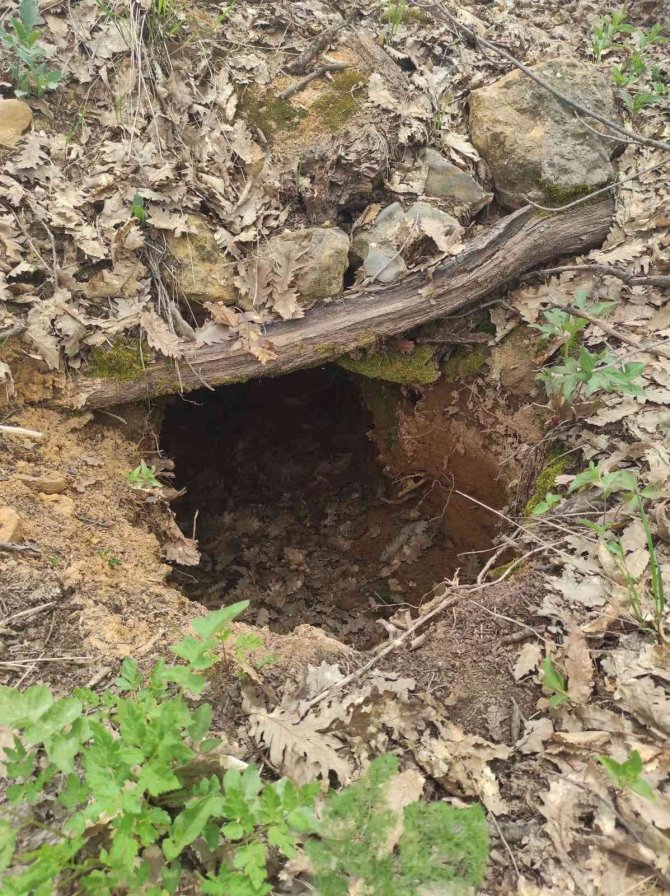 Tunceli’de Eren Kış-23 Operasyonlarında 3 Sığınak İmha Edildi
