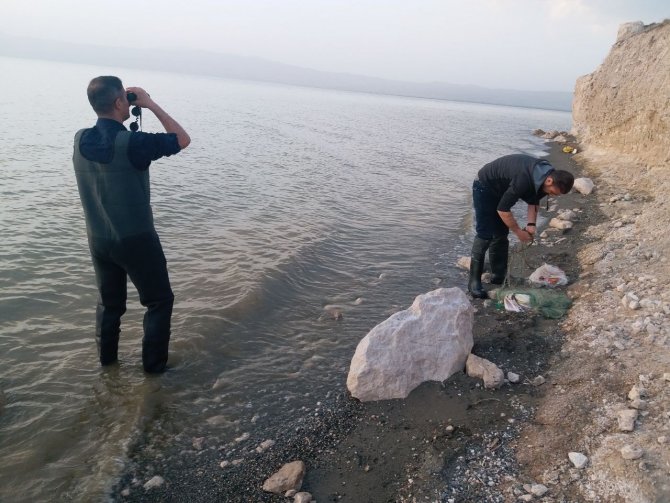 Erçek Gölü’ndeki İnci Kefali Balıkları Da Korunuyor