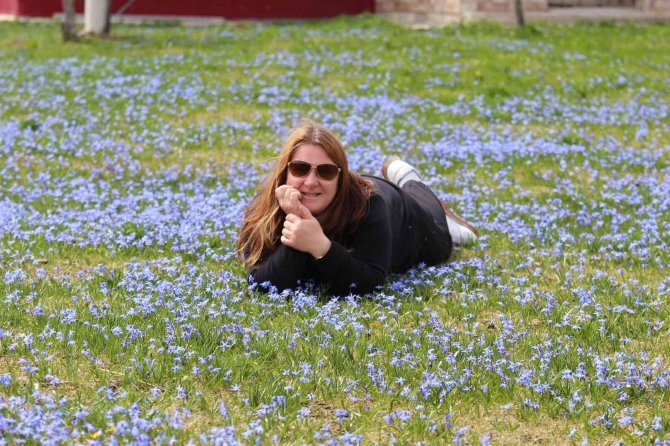 Karlar Eridi, Mor Yayla’nın Mavi Yıldız Çiçekleri Kendini Gösterdi