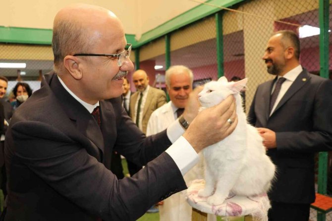 Yök Başkanı Prof. Dr. Özvar Van Kedilerini Sevdi