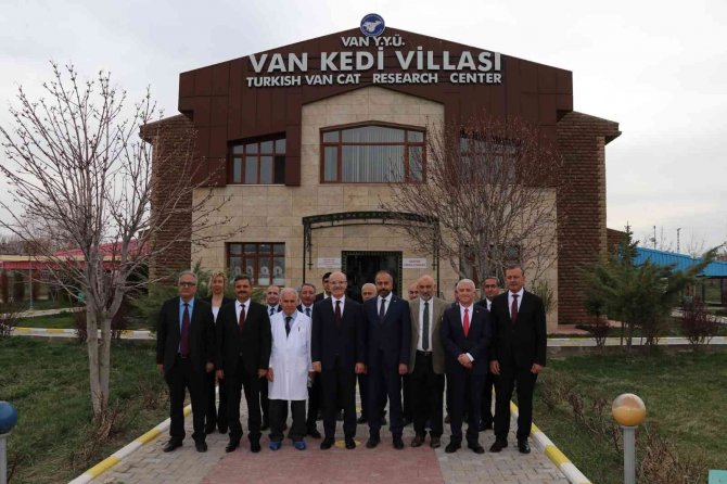 Yök Başkanı Prof. Dr. Özvar Van Kedilerini Sevdi