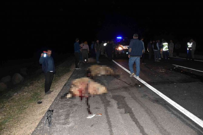 Siverek’te Otomobil Koyun Sürüne Daldı, 12 Koyun Telef Oldu
