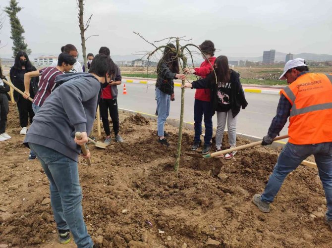 Belediyenin Ağaçlandırma Çalışmasına Öğrencilerden Destek