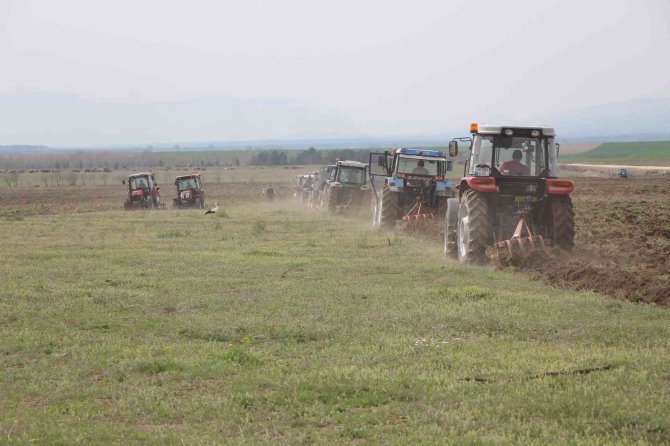 Amasya’da Yedikır Barajı’nın Kıyısı Tarımsal Üretime Kazandırılıyor