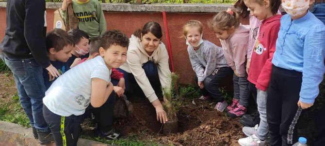 Düzce’nin Fidanları 80 İl De Yeşermeye Başladı