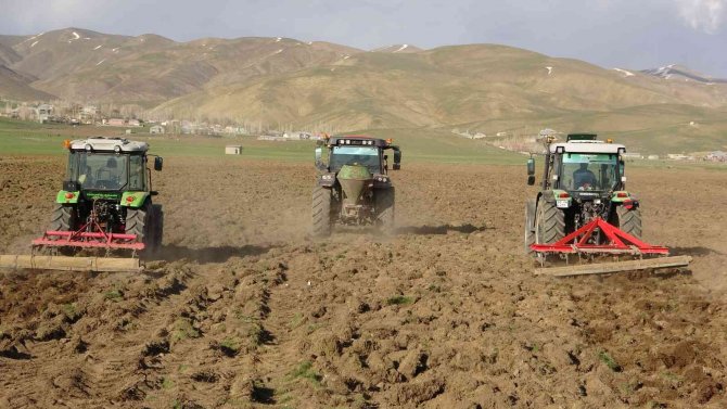 Yüksekovalı Çiftçiler Tarla Ekimine Başladı