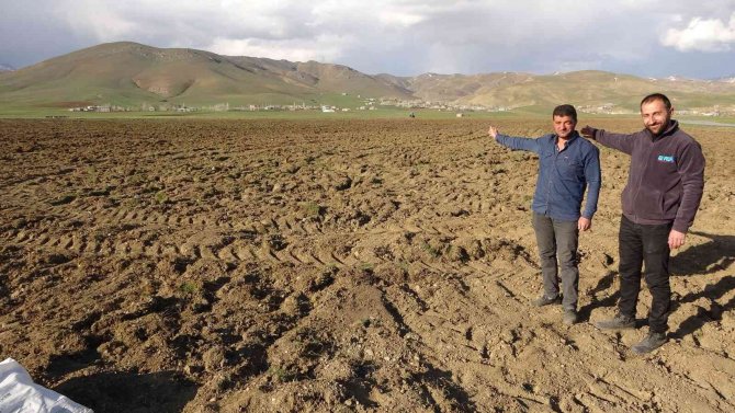 Yüksekovalı Çiftçiler Tarla Ekimine Başladı