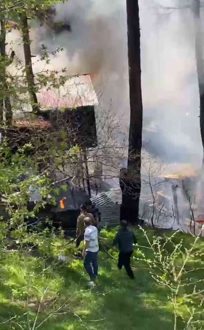 Hatay’da Amanoslar Üçkoz Yaylasında Çıkan Yangında 5 Ev Yandı
