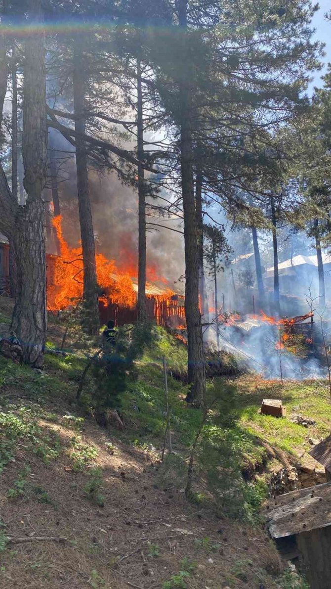 Hatay’da Amanoslar Üçkoz Yaylasında Çıkan Yangında 5 Ev Yandı