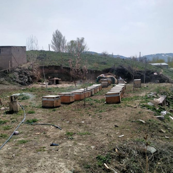 Iğdır’da Arı Kovanı Hırsızlığı: 1 Kişi Tutuklandı