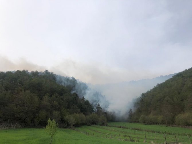 Akli Dengesi Bozuk Şahıs Ormanı Yaktı, 1,9 Hektar Alan Zarar Gördü