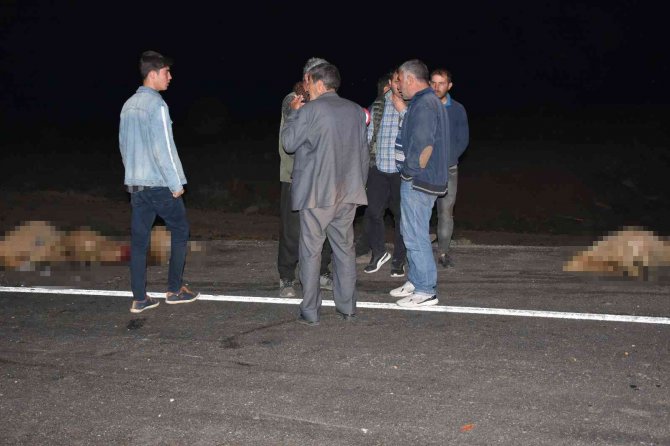 Siverek’te Otomobil Koyun Sürüne Daldı, 12 Koyun Telef Oldu