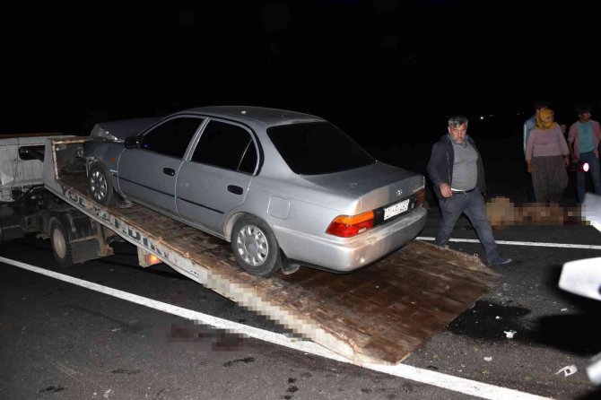 Siverek’te Otomobil Koyun Sürüne Daldı, 12 Koyun Telef Oldu