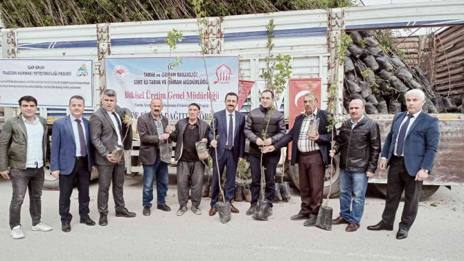 Siirt’te Bin 700 Dekar Üzerine ’Siirt Fıstığı’ Ve ’Trabzon Hurması’ Dikimi Yapılacak